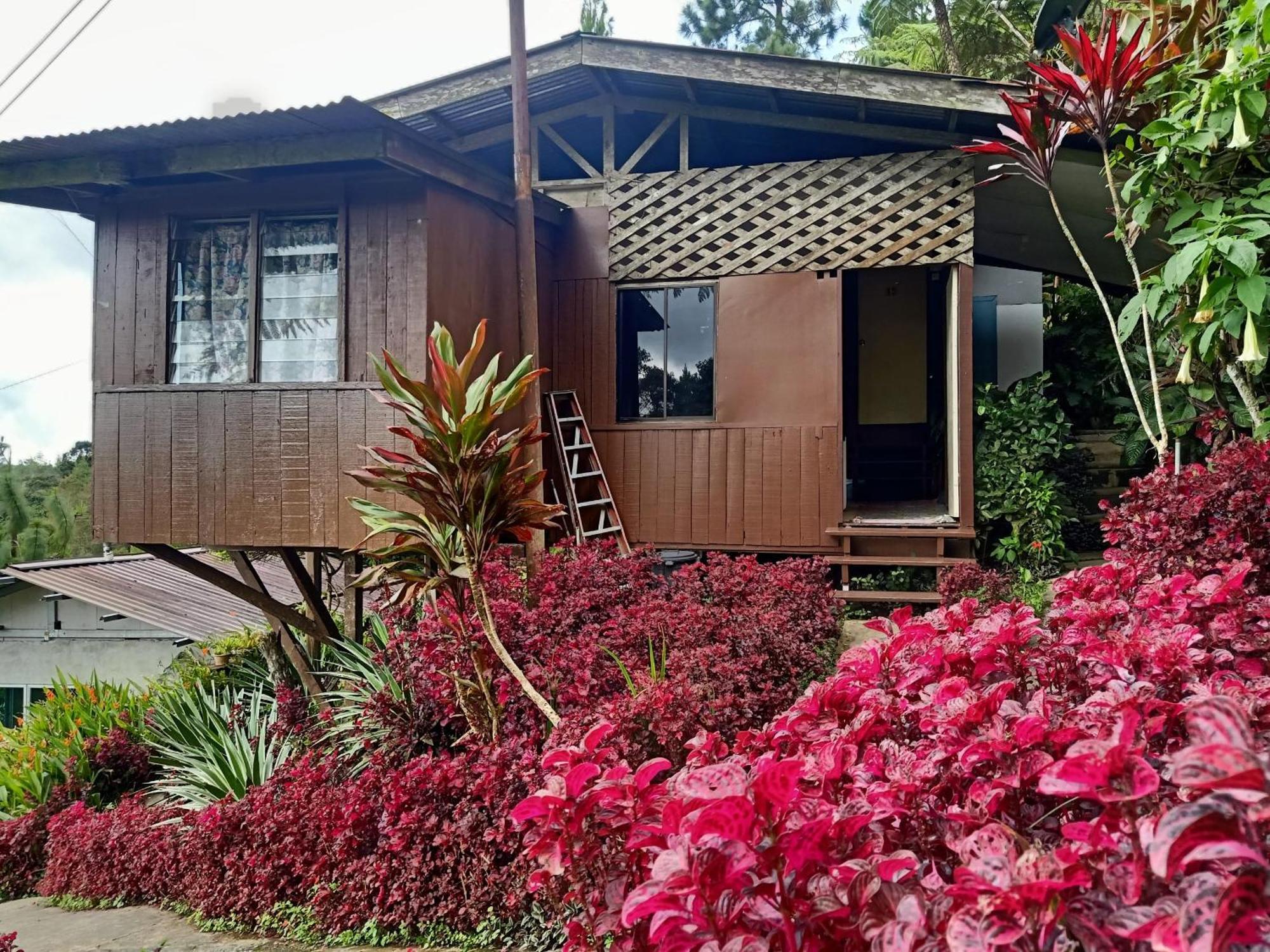 Oyo Home 90430 Mountain Resthouse Ranau Ngoại thất bức ảnh